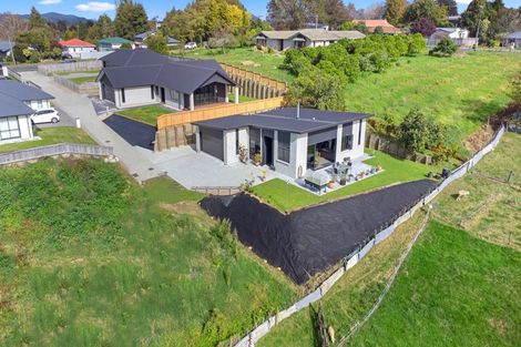 Photo of property in 3/12 Whitmore Street, Kihikihi, Te Awamutu, 3800