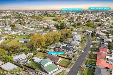 Photo of property in 17 Kudu Road, Otara, Auckland, 2023