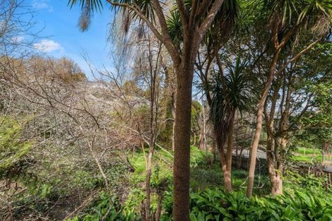 Photo of property in 45 Makiri Street, Helensville, 0800