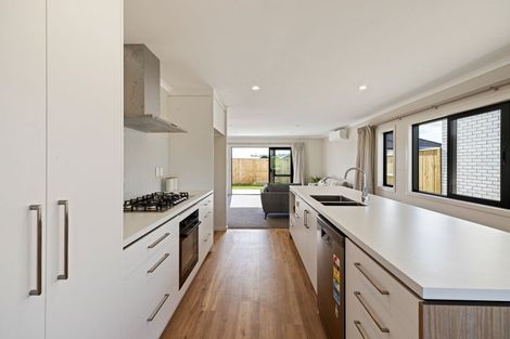 Photo of property in 19 Kakariki Lane, Rototuna North, 3210