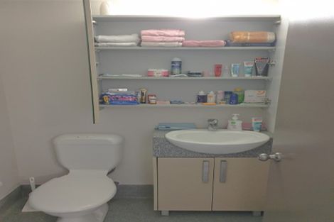Photo of property in Dual Apartments, 108/142u Vivian Street, Te Aro, Wellington, 6011