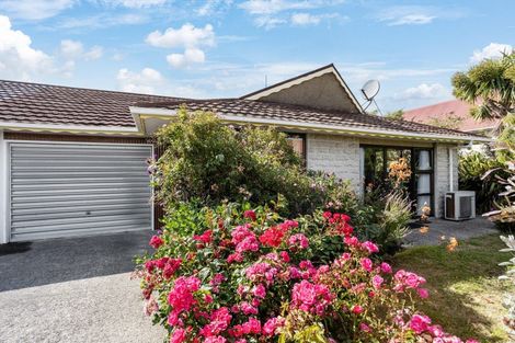 Photo of property in 10b Marlow Street, Saint Kilda, Dunedin, 9012