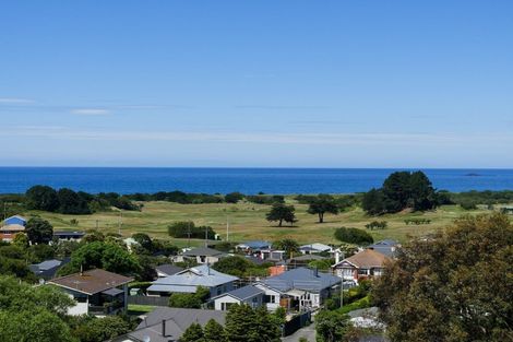 Photo of property in 53a Spottiswoode Street, Tainui, Dunedin, 9013