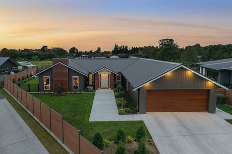 Photo of property in 25 Phoenix Palms Grove, Levin, 5510