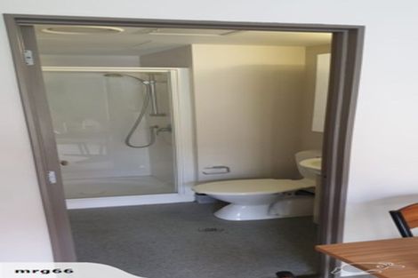 Photo of property in Dual Apartments, 108/142u Vivian Street, Te Aro, Wellington, 6011