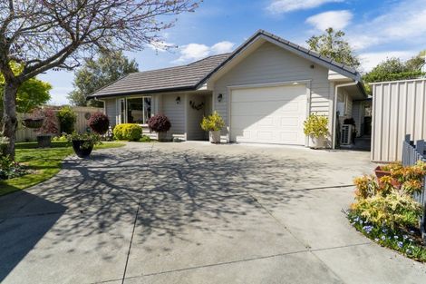 Photo of property in 6 Crosby Street, Havelock North, 4130