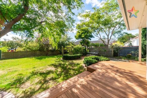 Photo of property in 51 Pohutukawa Street, Woburn, Lower Hutt, 5010