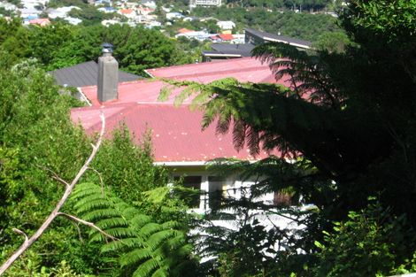 Photo of property in 58 Bedford Street, Northland, Wellington, 6012