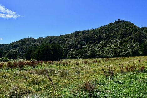 Photo of property in 216 Kongahu Swamp Road, Little Wanganui, Karamea, 7893