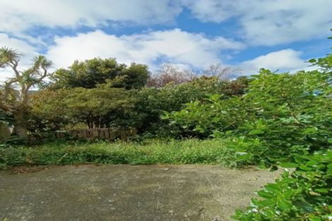 Photo of property in 143 Tasman Street, Mount Cook, Wellington, 6021