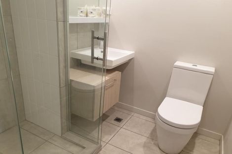 Photo of property in Vsp South, 207/168u Victoria Street, Te Aro, Wellington, 6011