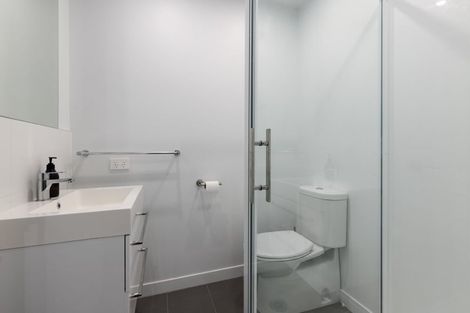 Photo of property in 24u6 Princess Terrace, Newtown, Wellington, 6021