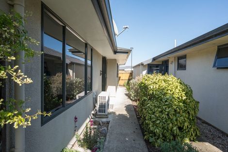 Photo of property in 25 Ivy Crescent, Richmond, 7020
