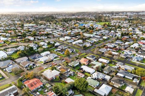 Photo of property in 17 Hinau Street, Maeroa, Hamilton, 3200