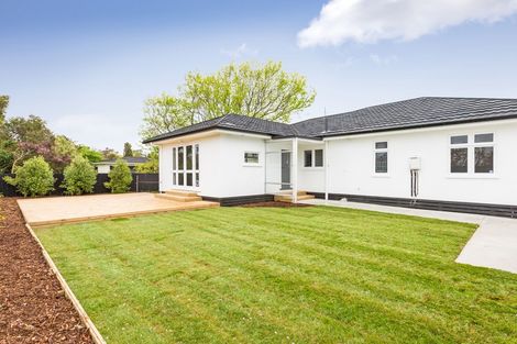 Photo of property in 39 Karina Terrace, Roslyn, Palmerston North, 4414