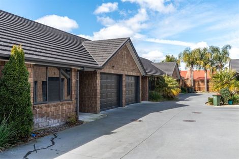 Photo of property in 28u5 Fifth Avenue, Enderley, Hamilton, 3214