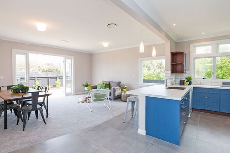 Photo of property in 39 Karina Terrace, Roslyn, Palmerston North, 4414