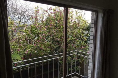 Photo of property in 150 Firth Street, Hamilton East, Hamilton, 3216