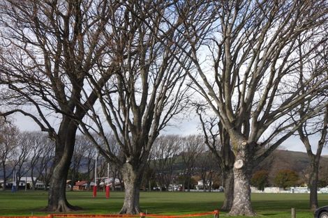 Photo of property in 40/10 Buffon Street, Waltham, Christchurch, 8023