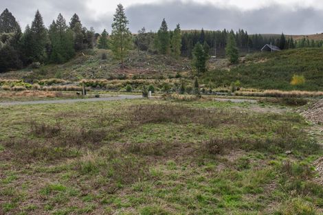 Photo of property in 21 Luge Loop, Castle Hill, 7580