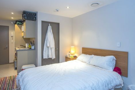 Photo of property in Dual Apartments, 108/142u Vivian Street, Te Aro, Wellington, 6011