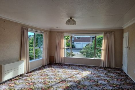 Photo of property in 43 Hopkins Street, Gleniti, Timaru, 7910