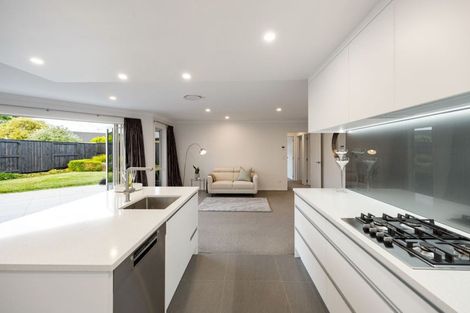 Photo of property in 51 Saint James Drive, Huntington, Hamilton, 3210