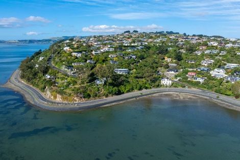 Photo of property in 7 Glengyle Street, Vauxhall, Dunedin, 9013