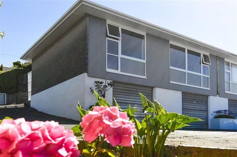 Photo of property in 92 Eglinton Road, Mornington, Dunedin, 9011