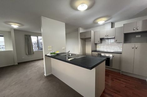 Photo of property in 8 Parlane Street, Addington, Christchurch, 8024