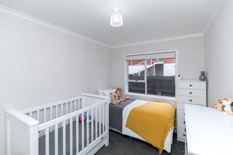 Photo of property in 42a Alison Street, Hamilton Lake, Hamilton, 3204