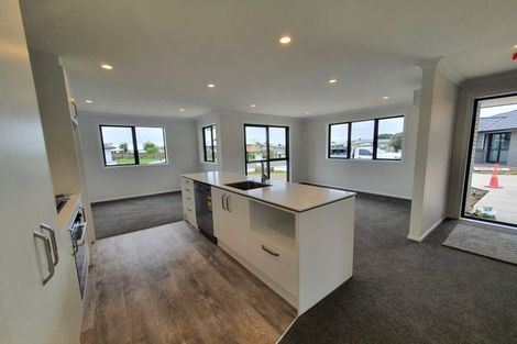 Photo of property in 69 Hinemoa Street, Levin, 5510