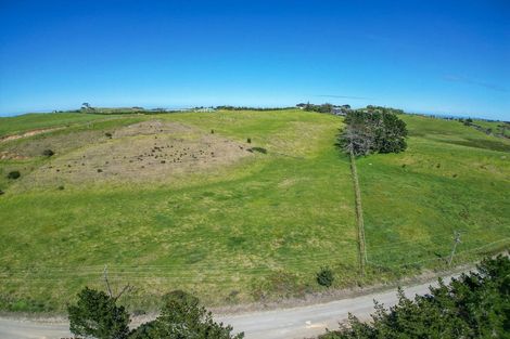 Photo of property in 42 Redhill Cemetery Road, Te Kopuru, 0371
