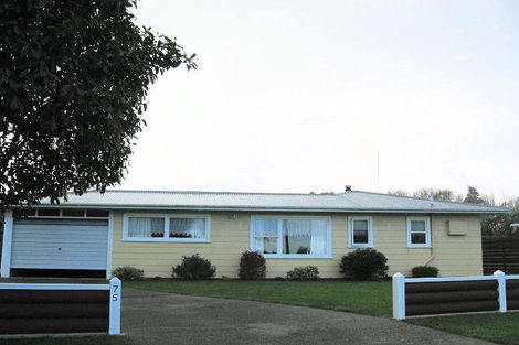 Photo of property in 75 Sherwill Street, Feilding, 4702