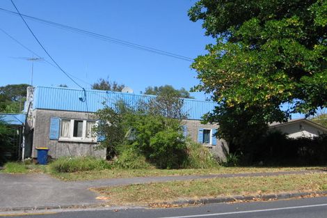 Photo of property in 46 Hutchinson Avenue, New Lynn, Auckland, 0600