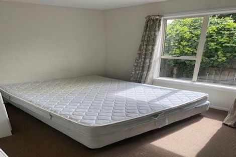 Photo of property in 119 King Street, Sydenham, Christchurch, 8023