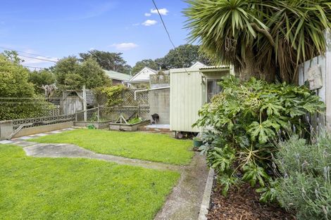Photo of property in 64 Moxham Avenue, Hataitai, Wellington, 6021