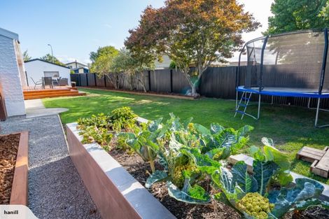 Photo of property in 79 Gray Crescent, Kaiapoi, 7630