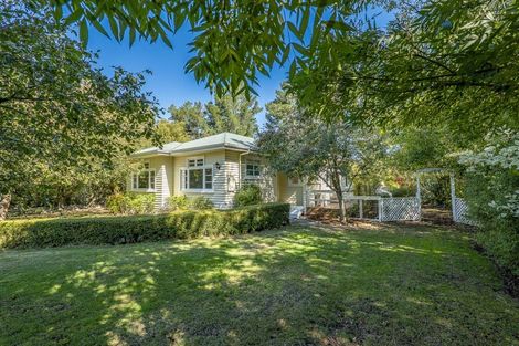 Photo of property in 239 Whitecliffs Road, Whitecliffs, Coalgate, 7673