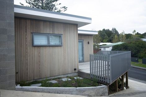 Photo of property in 27 Tilden Avenue, Hillcrest, Auckland, 0627