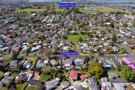 Photo of property in 12 Ronald Place, Manurewa, Auckland, 2102