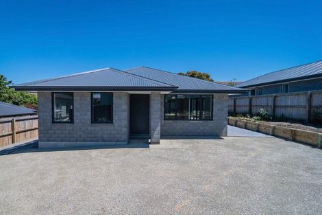 Photo of property in 35a High Street, Parkside, 7910