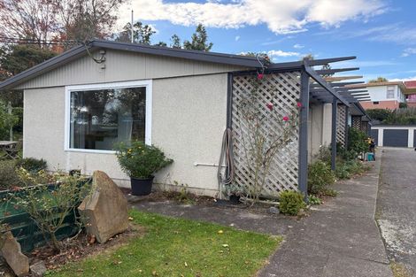 Photo of property in 1/2 Ruataniwha Street, Waipawa, 4210