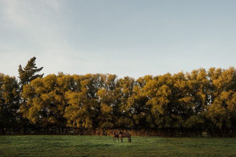 Photo of property in 78 Skewbridge Road, Flaxton, Kaiapoi, 7691