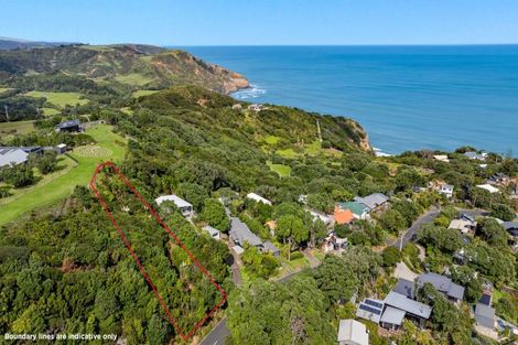 Photo of property in 119 Waitea Road, Muriwai, 0881