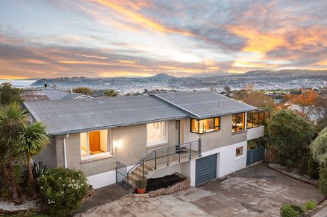 Photo of property in 239 Highcliff Road, Shiel Hill, Dunedin, 9013