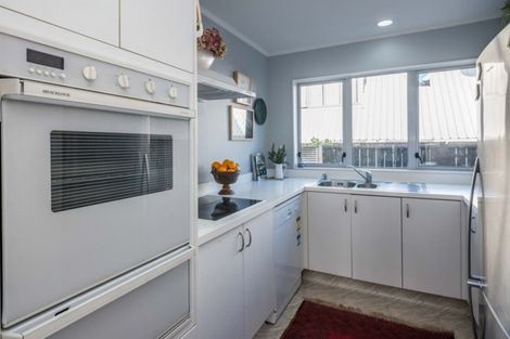 Photo of property in 48b Wright Street, Mount Cook, Wellington, 6021