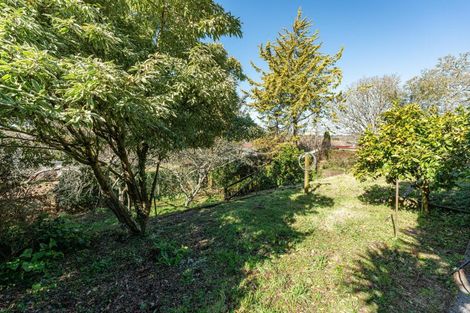 Photo of property in 9 Manaia Street, Tokoroa, 3420