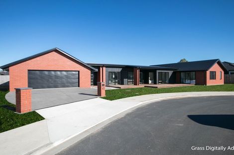 Photo of property in 17 Kowhai Drive, Cambridge, 3434