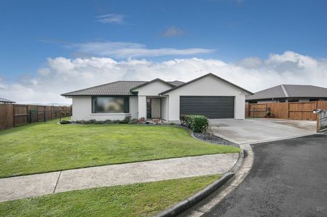 Photo of property in 13 Soma Place, Cambridge, 3434